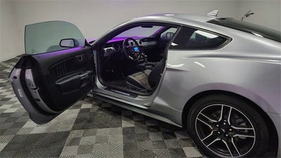 2023 Ford Mustang EcoBoost