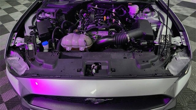 2023 Ford Mustang EcoBoost