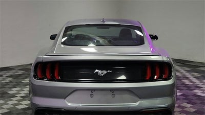 2023 Ford Mustang EcoBoost