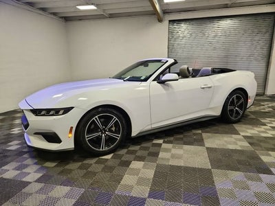 2024 Ford Mustang EcoBoost