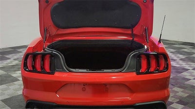 2023 Ford Mustang EcoBoost