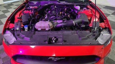 2023 Ford Mustang EcoBoost