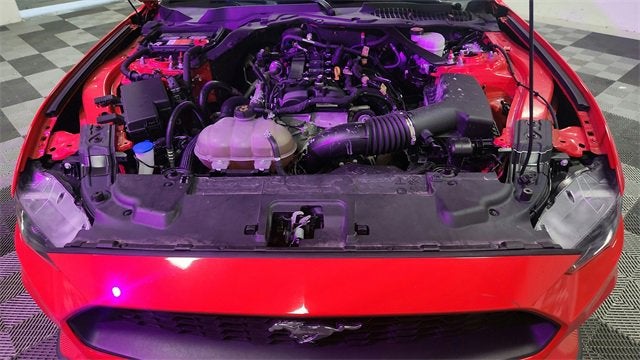 2023 Ford Mustang EcoBoost