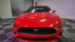 2023 Ford Mustang EcoBoost