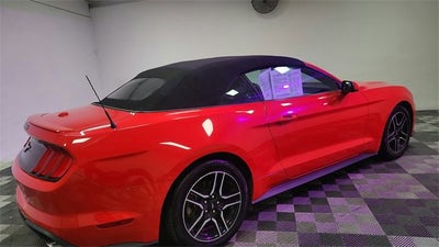 2023 Ford Mustang EcoBoost