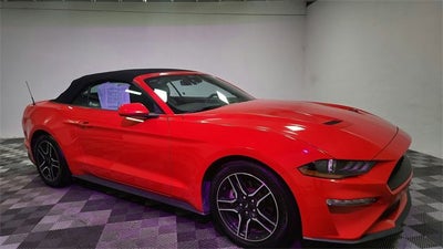 2023 Ford Mustang EcoBoost