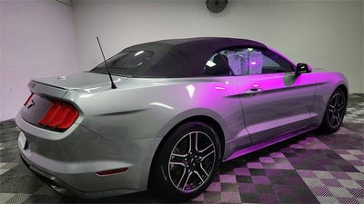 2023 Ford Mustang EcoBoost