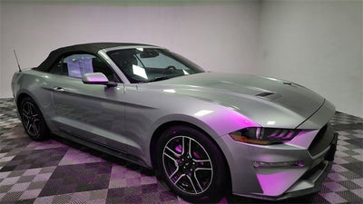 2023 Ford Mustang EcoBoost