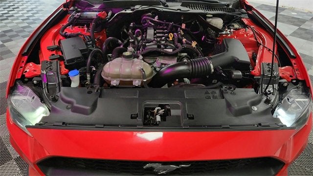 2022 Ford Mustang EcoBoost