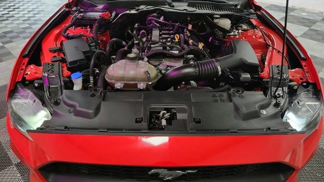 2022 Ford Mustang EcoBoost