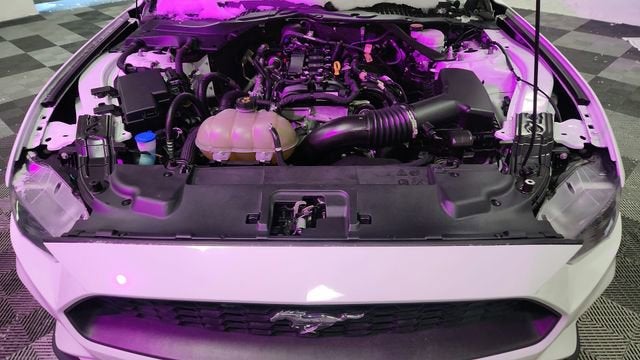 2023 Ford Mustang EcoBoost