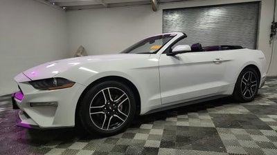 2023 Ford Mustang EcoBoost