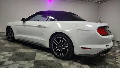 2023 Ford Mustang EcoBoost