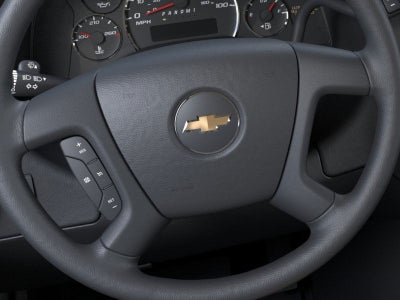 2025 Chevrolet Express Passenger 1LS