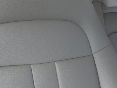 2025 Chevrolet Express Passenger 1LS