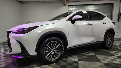 2024 Lexus NX NX 350