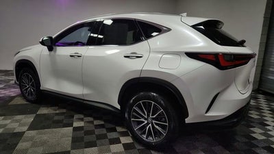 2024 Lexus NX NX 350