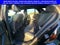 2025 Mercedes-Benz GLE GLE 350