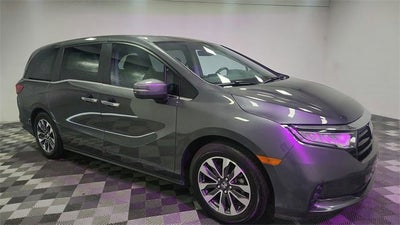 2024 Honda Odyssey EX-L
