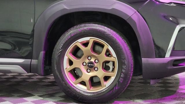 2024 Honda Pilot EX-L 8 Passenger