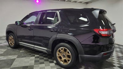 2024 Honda Pilot EX-L 8 Passenger